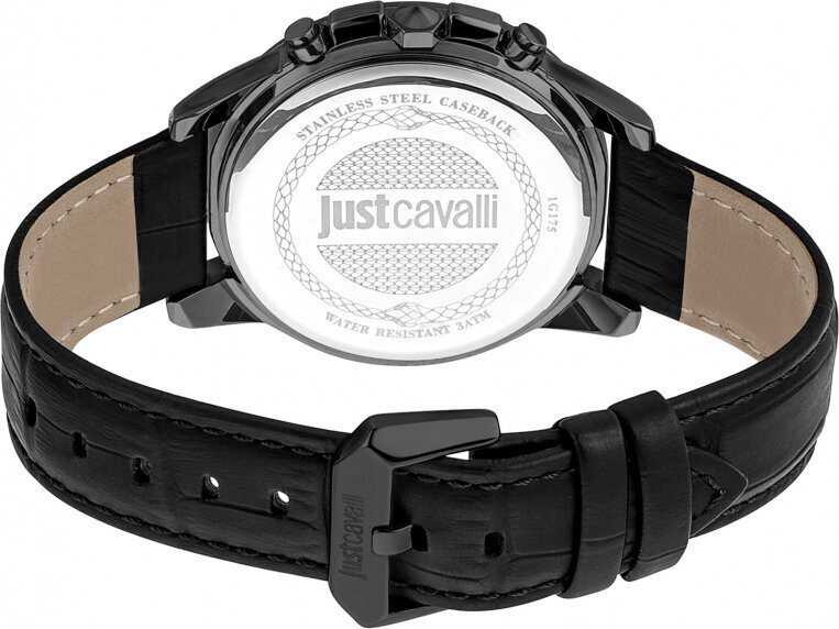 Naisten kello Just Cavalli JC1G175L0245 hinta ja tiedot | Naisten kellot | hobbyhall.fi