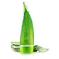 Holika Holika Aloe 92% suihkugeeli 250 ml hinta ja tiedot | Suihkusaippuat ja suihkugeelit | hobbyhall.fi