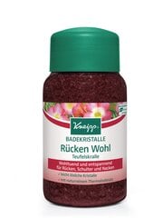 Kneipp Mineral Bath Salt Back Comfort kylpysuola 500 g hinta ja tiedot | Suihkusaippuat ja suihkugeelit | hobbyhall.fi