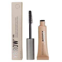 Xbrow Eyebrow Gel XLASH, 12 g hinta ja tiedot | Kulmavärit ja kulmakynät | hobbyhall.fi