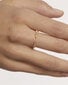 PDPAOLA Stare Essentials Gold Plated Clear Cubic Zirconia Ring AN01-803 hinta ja tiedot | Sormukset | hobbyhall.fi