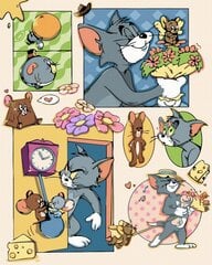 Maalaa numeroittain Tom ja Jerry Tapymas.lt 40x50 cm hinta ja tiedot | Maalaa numeroiden mukaan | hobbyhall.fi