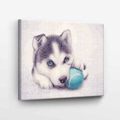 Maalaa numeroittain Husky-pentu pallolla Tapymas.lt 40x50 cm hinta ja tiedot | Maalaa numeroiden mukaan | hobbyhall.fi