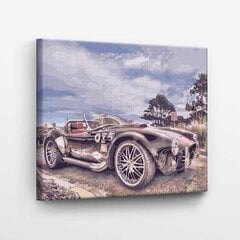 Maalaa numeroittain Retro 30-luku Tapymas.lt 40x50 cm hinta ja tiedot | Maalaa numeroiden mukaan | hobbyhall.fi