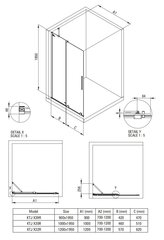 Deante Prizma Walk-in liukuva suihkuseinä, Brushed steel, 100x195 cm hinta ja tiedot | Suihkuseinät ja -ovet | hobbyhall.fi