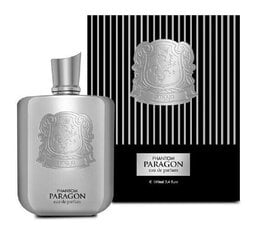 Hajustettu vesi Zimaya Phantom Paragon EDP miehille, 100 ml hinta ja tiedot | Miesten hajuvedet | hobbyhall.fi