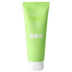 HAYEJIN Blessing of Sprout Calming Cleanser 170ml - Kasvojen puhdistusgeeli - kasvojen puhdistusgeeli hinta ja tiedot | Kasvojen puhdistusaineet | hobbyhall.fi