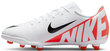 Nike Jalkapallokengät Teinille Jr Vapor15 Club Fg/Mg Wite DJ5958 600 DJ5958 600/5 hinta ja tiedot | Miesten urheilu- ja vapaa-ajan kengät | hobbyhall.fi