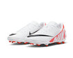 Nike Jalkapallokengät Teinille Jr Vapor15 Club Fg/Mg Wite DJ5958 600 DJ5958 600/5 hinta ja tiedot | Miesten urheilu- ja vapaa-ajan kengät | hobbyhall.fi