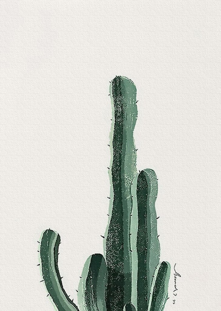 Kokoelma maalauksia numeroiden mukaan Cactus Arizona hinta ja tiedot | Taide- ja askartelutarvikkeet | hobbyhall.fi