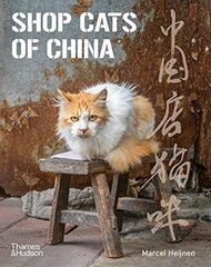 Shop Cats of China hinta ja tiedot | Tietosanakirjat ja hakuteokset | hobbyhall.fi