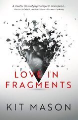 Love in Fragments hinta ja tiedot | Romaanit | hobbyhall.fi