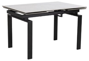 Jatkettava pöytä Huddersfield, 120 cm, valkoinen hinta ja tiedot | Ruokapöydät | hobbyhall.fi