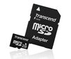 MEMORY MICRO SD 2GB/TS2GUSD TRANSCEND hinta ja tiedot | Puhelimen muistikortit | hobbyhall.fi