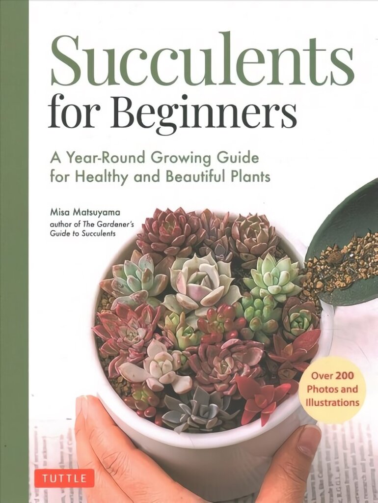 Succulents for Beginners: A Year-Round Growing Guide for Healthy and Beautiful Plants (over 200 Photos and Illustrations) hinta ja tiedot | Puutarhakirjat | hobbyhall.fi