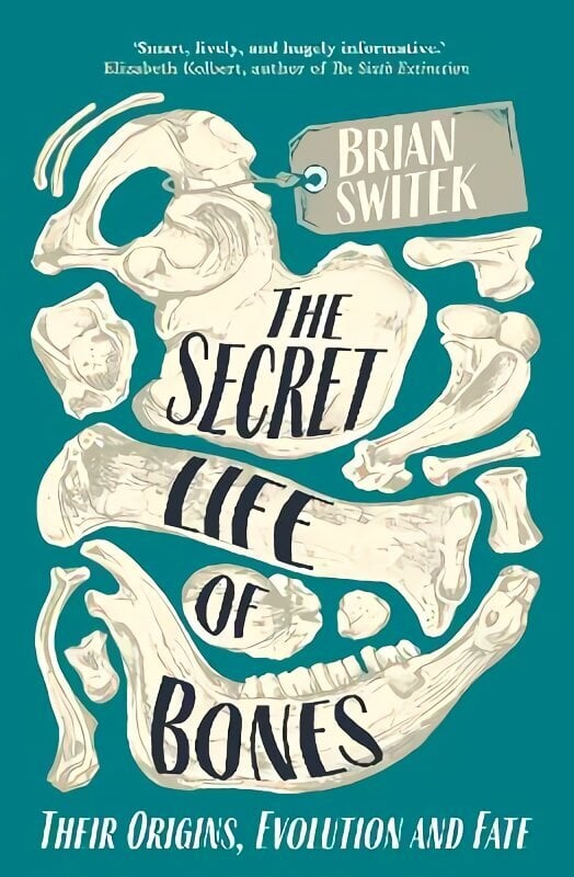 Secret Life of Bones: Their Origins, Evolution and Fate hinta ja tiedot | Talouskirjat | hobbyhall.fi