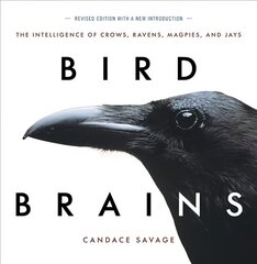 Bird Brains: The Intelligence of Crows, Ravens, Magpies, and Jays New edition hinta ja tiedot | Terveys- ja ravitsemuskirjat | hobbyhall.fi