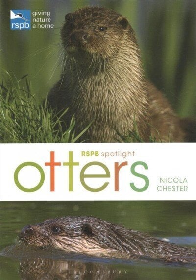 RSPB Spotlight: Otters hinta ja tiedot | Terveys- ja ravitsemuskirjat | hobbyhall.fi