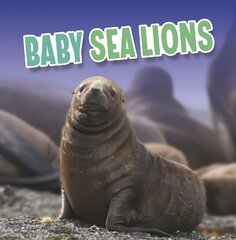 Baby Sea Lions hinta ja tiedot | Nuortenkirjat | hobbyhall.fi