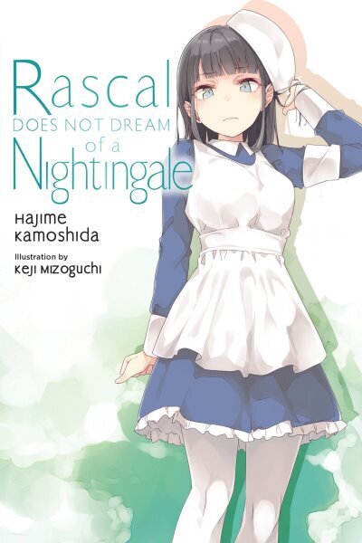 Rascal Does Not Dream, Vol. 11 (light novel) hinta ja tiedot | Fantasia- ja scifi-kirjallisuus | hobbyhall.fi