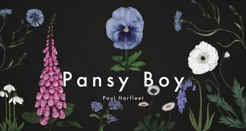 Pansy Boy hinta ja tiedot | Fantasia- ja scifi-kirjallisuus | hobbyhall.fi