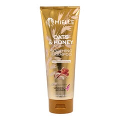 Shampoo Mielle Soothing Hunaja Kaura (237 ml) hinta ja tiedot | Shampoot | hobbyhall.fi