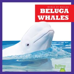 Beluga Whales hinta ja tiedot | Nuortenkirjat | hobbyhall.fi