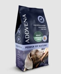 Addena Power of Nature Adult Medium&Large lammasta, 10 kg hinta ja tiedot | Koiran kuivaruoka | hobbyhall.fi