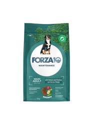 Forza10 Maxi Adult Maintenance Venison Potato suurille koirille, 12 kg hinta ja tiedot | Koiran kuivaruoka | hobbyhall.fi