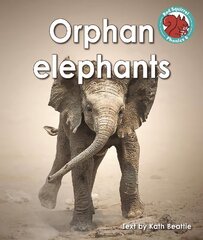 Orphan elephants hinta ja tiedot | Nuortenkirjat | hobbyhall.fi