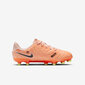 Nike Jalkapallokengät Teinille Jr Legend 10 Academy Fg/Mg Orange DZ3188 800 DZ3188 800/4 hinta ja tiedot | Miesten urheilu- ja vapaa-ajan kengät | hobbyhall.fi