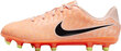 Nike Jalkapallokengät Teinille Jr Legend 10 Academy Fg/Mg Orange DZ3188 800 DZ3188 800/4 hinta ja tiedot | Miesten urheilu- ja vapaa-ajan kengät | hobbyhall.fi