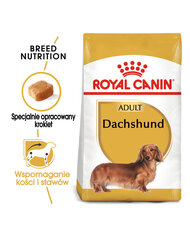 Royal Canin Dachshund aikuisille koirille, 2x7,5 kg hinta ja tiedot | Koiran kuivaruoka | hobbyhall.fi