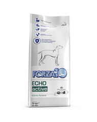 Forza 10 Oto/Echo Active korvaongelmiin, 10 kg hinta ja tiedot | Koiran kuivaruoka | hobbyhall.fi