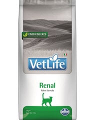 Farmina Vet Life Cat Renal 5, kg hinta ja tiedot | Kissan kuivaruoka | hobbyhall.fi