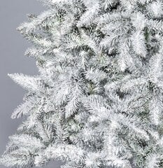 Joulukuusi Tytus Lumi 2,2 m hinta ja tiedot | Joulukuuset ja kranssit | hobbyhall.fi