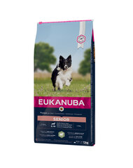 Eukanuba Senior All Breeds Lamb & Rice, 24 kg hinta ja tiedot | Koiran kuivaruoka | hobbyhall.fi