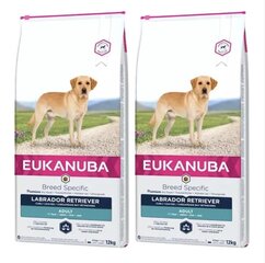 Eukanuba Adult Breeds Specific Labradori Retriever, kanaa, 24 kg hinta ja tiedot | Koiran kuivaruoka | hobbyhall.fi