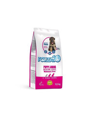 Forza10 M/L Maintenance Puppy Junior, kalaa, 12,5 kg hinta ja tiedot | Koiran kuivaruoka | hobbyhall.fi