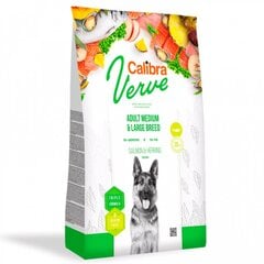 Calibra Dog Verve GF Adult Medium&Large Salmon&Herring, 12 kg hinta ja tiedot | Calibra Koirat | hobbyhall.fi