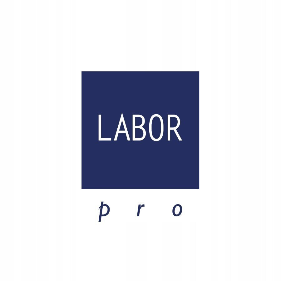 B265 LABOR PRO MINI SILEÄ HIUSTEN SUORISTUSRAUTA MATKA HIUSTEN SUORISTUSRAUTA hinta ja tiedot | Suoristusraudat ja kihartimet | hobbyhall.fi