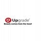 UG31 Crocodile Professional Hiusklipsit UPGRADE UG31 - 4 kpl per pakkaus hinta ja tiedot | Hiustarvikkeet | hobbyhall.fi