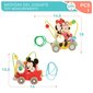 Leluauto köydellä Disney, 6 d. hinta ja tiedot | Vauvan lelut | hobbyhall.fi