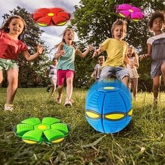 Lemmikkieläinten lelu Frisbee Ball violetti hinta ja tiedot | Koiran lelut | hobbyhall.fi