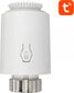 Älykäs jäähdyttimen termostaatti Avatto Valve TRV06 Zigbee 3.0 TUYA hinta ja tiedot | Takka- ja uunitarvikkeet | hobbyhall.fi