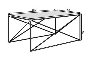 Kahvipöytä ADRK Furniture Dante, kultainen/valkoinen hinta ja tiedot | Sohvapöydät | hobbyhall.fi