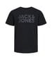 Jack & Jones lasten T-paita 12152730*06, musta 5715425367816 hinta ja tiedot | Naisten T-paidat | hobbyhall.fi