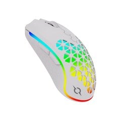 AQIRYS Gaming Mouse Dual Mode: Wirelles+Wired POLARIS valkoinen hinta ja tiedot | Hiiret | hobbyhall.fi