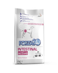 Forza 10 Intestinal Active Diet koiran täysravinto ruoansulatusongelmiin, 4 kg hinta ja tiedot | Forza 10 Koirat | hobbyhall.fi