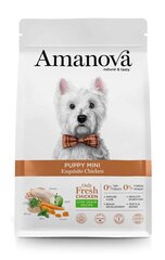 Amanova pienten rotujen pennuille kana, 2 kg hinta ja tiedot | Koiran kuivaruoka | hobbyhall.fi